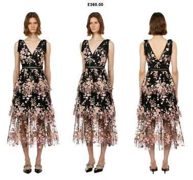 sleeveless midnight floral mesh dress